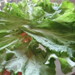 На блюдо укладываем веером листья салата.